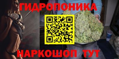 марихуана Кингисепп